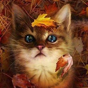 Amanda Toia's photo