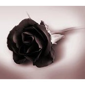 Gail Matlock's photo