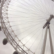 Shan S's photo