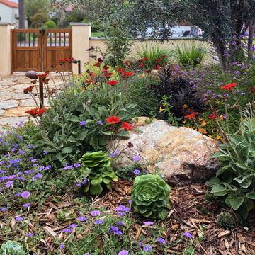 Joyous Wildlife Habitat in Santa Monica