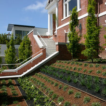 Green Ideas