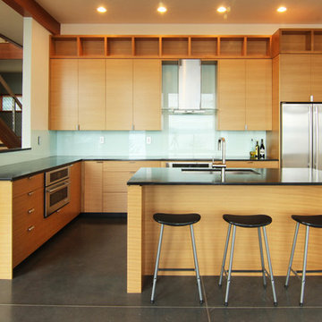 Johnson Pt. Modern