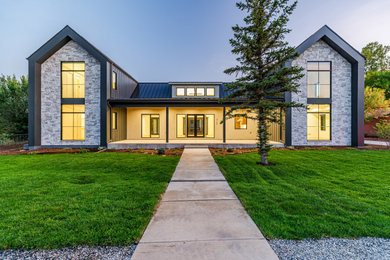 Home design - contemporary home design idea in Denver