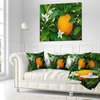 Orange Blossom Portrait Throw Pillow, 18"x18"