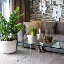 Plantas E Vasos