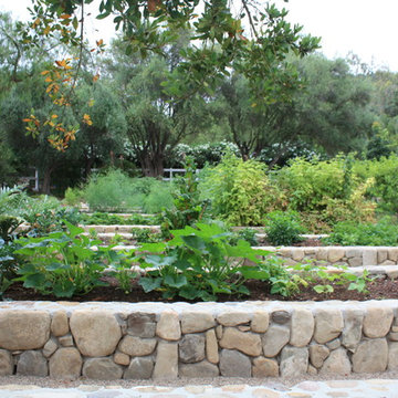 Vegetable Gardens