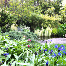 ponds
