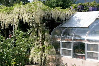 Design ideas for a traditional landscaping in San Francisco.