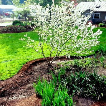 Master Gardener Landscape Makeover Rain Garden
