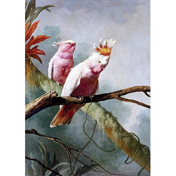 Jacques Barraban A Pair Of Leadbeaters Cockatoos Wall Decal