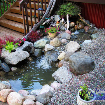 Water Feature - Pond