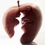 Foto di Alessandro Donaggio - fine art photography