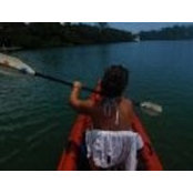 Cathy Bodi's photo