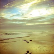 Lidia Lastur's photo