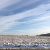 Liesl Monroy's photo