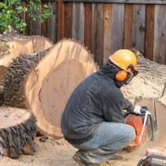tree care and Service