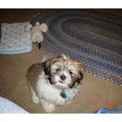 Karen Slaughter's photo