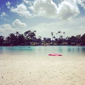 Vincent Cheng's photo