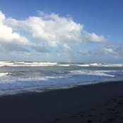 Michelle Vanderbeck's photo
