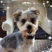 Cathy Upton's photo
