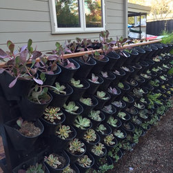 Wall Garden Separator - Outdoor Structures