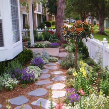 drought tolerant