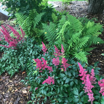 Silver Lake Garden