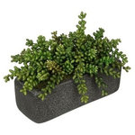 House of Silk Flowers, Inc. - Artificial Sedum Garden in Black Sandy-Texture Rectangle - You will never have to worry about caring for your succulents again with this artificial sedum garden handcrafted by House of Silk Flowers. This arrangement features a grouping of artificial sedum "potted" in a sandy-texture ceramic vase measuring 11" wide x 4" deep x 4.25" tall. The sedum have been arranged for 360*-viewing. The overall dimensions are measured leaf tip to leaf tip, from the bottom of the planter to the tallest leaf tip: 13" wide X 7.5" deep X 8" tall. Measurements are approximate, and will be determined by your final shaping of the plant upon unpacking it. No arranging is necessary, only minor shaping, with the way in which we package and ship our products. This product is only recommended for indoor use.