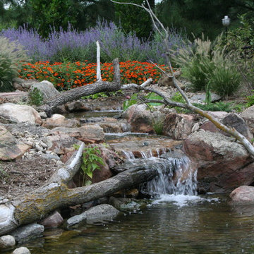 Koi Ponds and Water Gardens