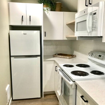 The Forest Remodeled Galley Kitchen (See BEFORE below)