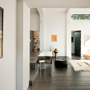 Modern Oasis