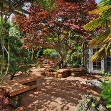 GLP Backyard