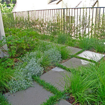 Upper Beachwood Canyon Courtyard