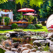 backyard for cottage