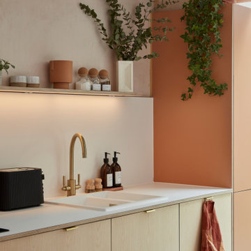 Formica Earthenware with ash veneered birch ply and brass handles