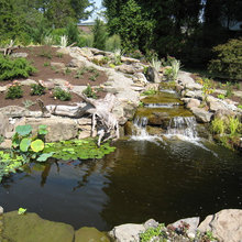 ponds