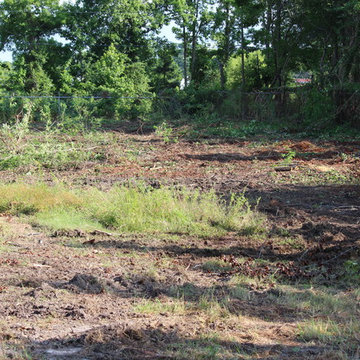 Virginia Beach Lot Clearing