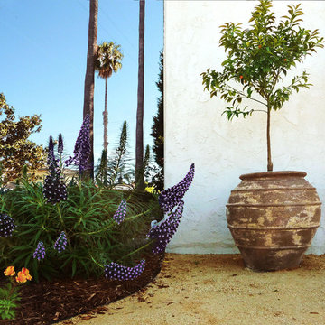 Vivacious Mediterranean Front Yard