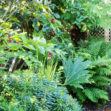 Secluded exotic garden