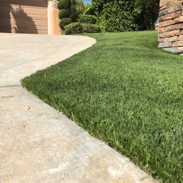 Completed Lawns and Turfs