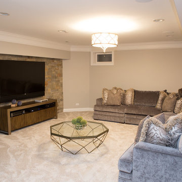 The Perfect Family Basement