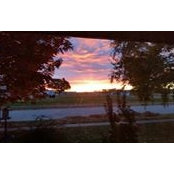 Manette Babb's photo