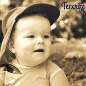 Foto von David O'Keeffe