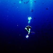 David Robinson's photo