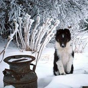 Jenna Cruthers's photo