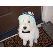 Gwen Khoury's photo