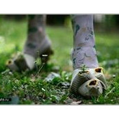 Анна Байбакова's photo