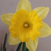 Susan Akeley's photo