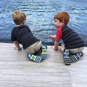 Terry Wilcox's photo