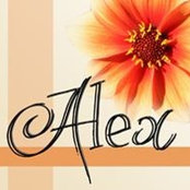 Alex Miller's photo